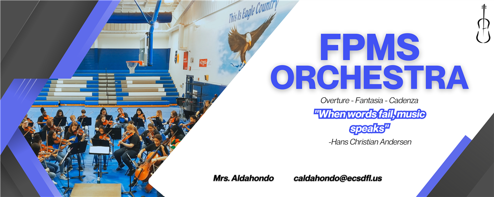 FPMS Orchestra banner